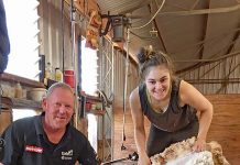 Swiggs first female to receive shearing qualification