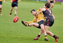 Tigers triumph over Bulldogs