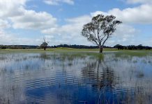 Major restoration project leaves farmland unrecognisable