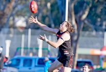 Bulldogs bite back against Cats