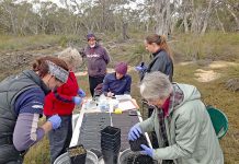 Flora gets helping hand