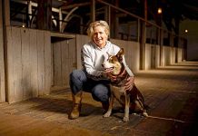 Blades of Glencoe funding secured