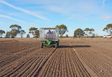 Cereal research program to begin at Horsham