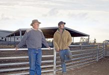 South East farmers look to future