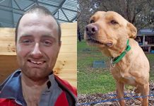 Challenge on to find top dog