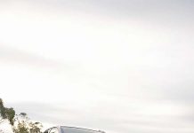 ‘Excitement machine’ hits Mount Gambier car market