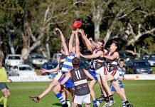 Saints primed to face wounded Cats