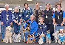 Furry friends provide support for hospital patients