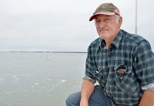 Mayor calls for harbour seaweed solution