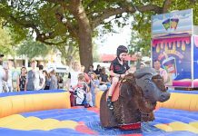 City Council bids for festival funds