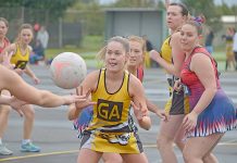 Tigers take down impressive Roos