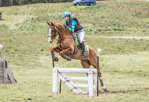 Top riders jump at horse trial chance