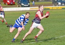 Cats finish top despite Roo upset