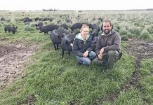 Beachport producers bring home the bacon