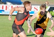 Finals-bound Dogs farewell Tigers