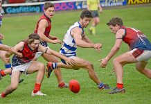 Finals fine-tune for Cats and Roos