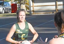 Last chance to poll votes for season awards