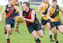 Bulldogs tear through Tigers