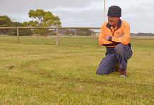 Hoons create Millicent headache