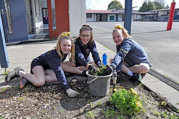 Students join Lions to keep school grounds in check