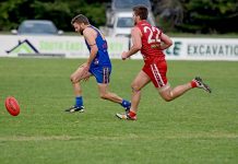 Tigers hunt high flyers