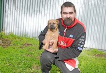 Lucky dog survives fall