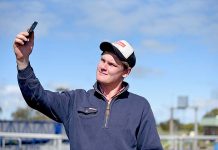 Urgent call made for better phone service