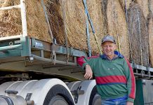 Drought relief convoy en route