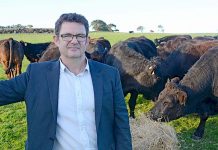 Malseed drives drought relief initiative