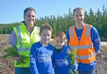 Pine planting session provides forest industry insight