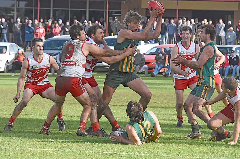 Crauford announced addition to SANFL’s Norwood Football Club