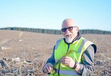 OneFortyOne staff complete forest replanting