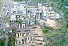 Historic $90m upgrade for Tarpeena sawmill
