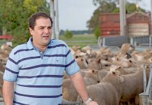 Trade deal improves Indonesian market access