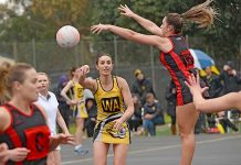 North Gambier underdogs arise