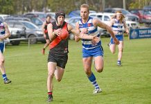 Bulldogs bite back against Cats