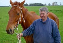 Races defended as death triggers fresh call for ban