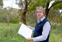 Mill expansion left in hands of courts