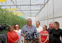 Job seekers put to work