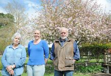 Storm damage gives green thumbs new direction