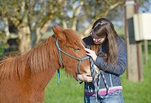 No time to horse around