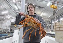 Rock solid fishing season start