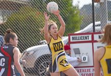 Star netballer signs as A Grade netball coach