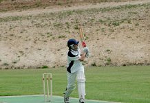 Cricket leaders announced