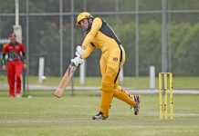 Tigers pounce on chance at points