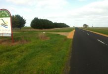 Firearms theft investigated