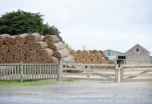 Mill expansion appeal