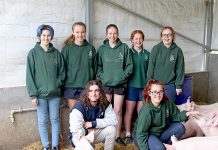 Allendale East students steer cattle to Mount Gambier Spring Show placings