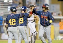 Bases covered in the Australian Baseball League