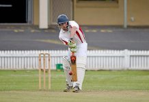 Mil Lel look to leash Dogs